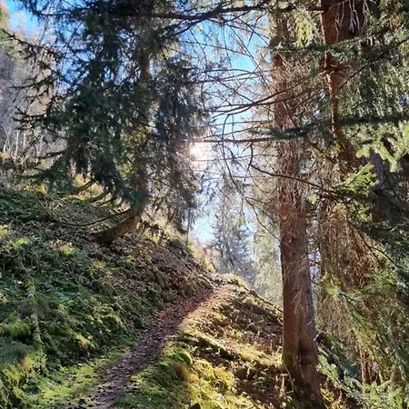 Claudia 6 By Smr - Inc And Near Gondola * Rauris