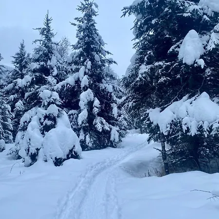 Claudia 6 By Smr - Inc And Near Gondola *