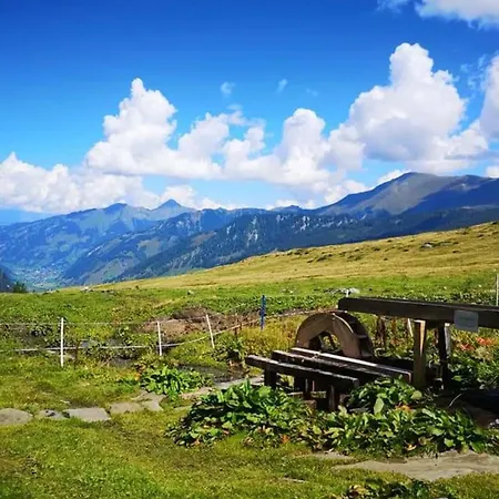 Claudia 6 By Smr - Inc And Near Gondola