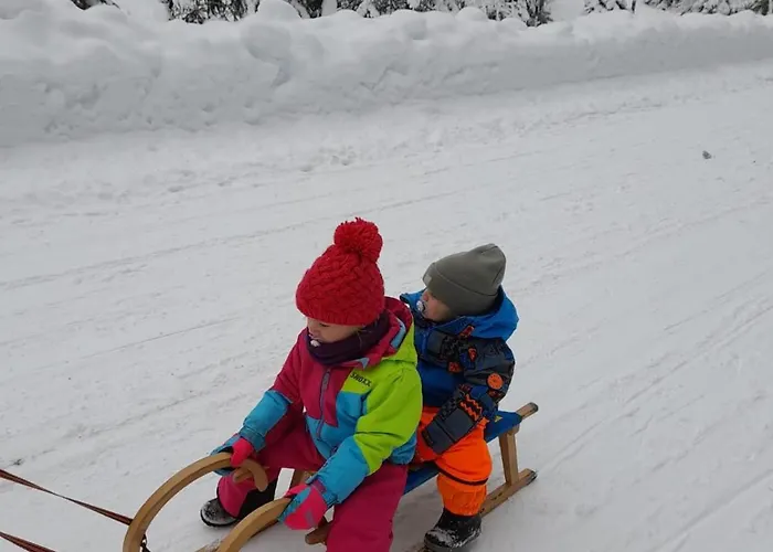 Apartmán Claudia 6 Rauris